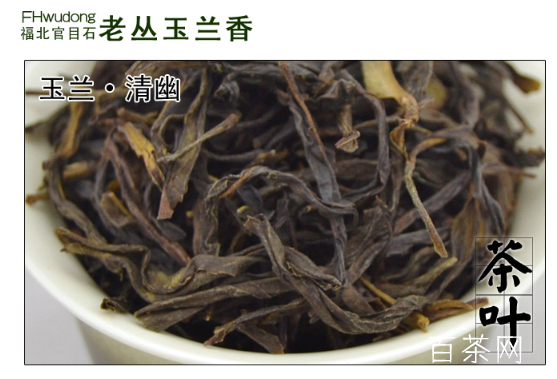 凤凰单丛（枞）茶之玉兰花香型