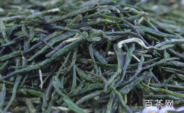 清明茶属于什么茶？是绿茶吗？