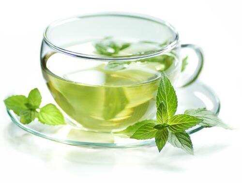 绿茶减肥么？绿茶能不能减肥呢？怎样才能达到好的减肥效果呢？