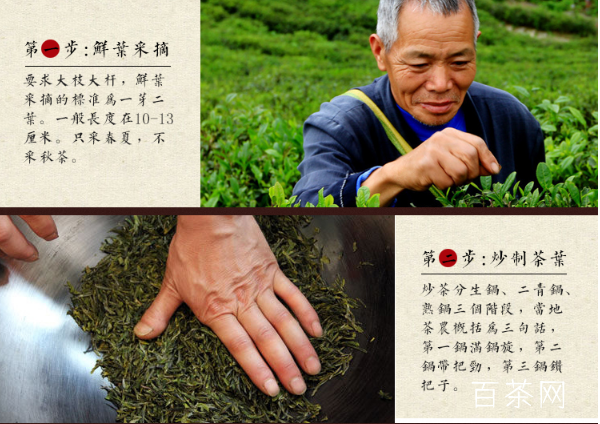 深度分析霍山黄大茶的制作工艺步骤