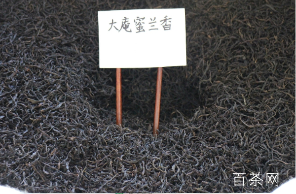 凤凰单丛（枞）茶之密兰花香型