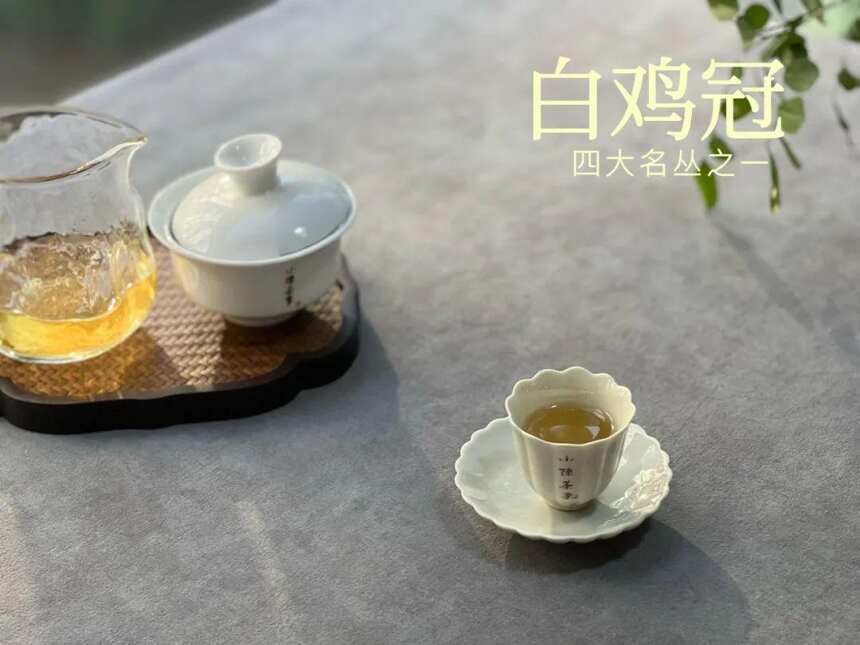武夷岩茶的第一冲茶汤，为什么不是很清透？4个角度带你拨开谜团