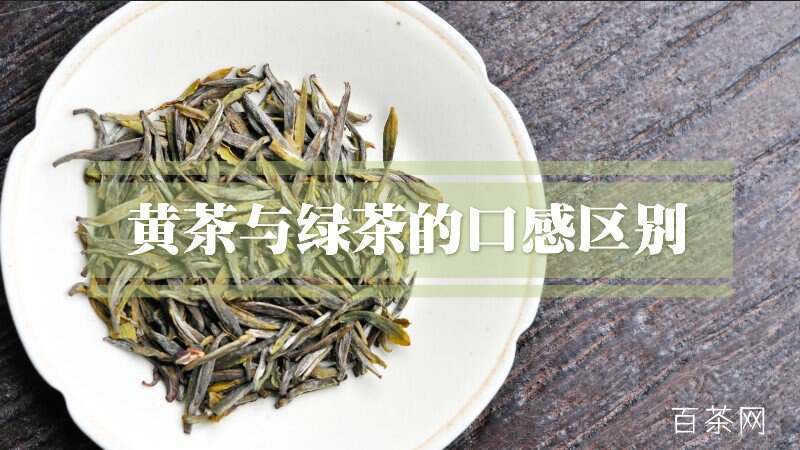 黄茶与绿茶的口感区别？