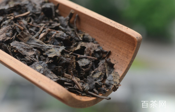 藏茶的品种有哪些？