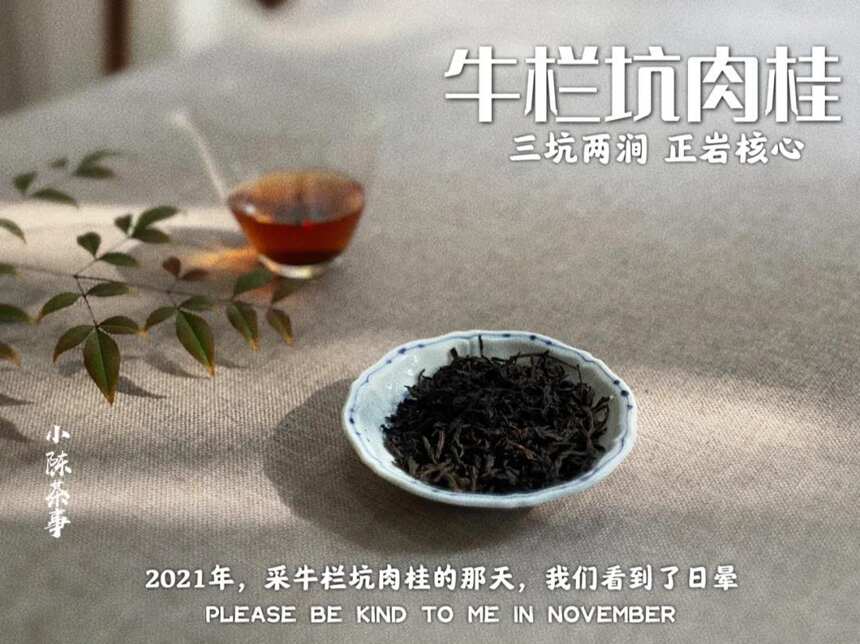 单株、嫩采、老树、陈茶，4大肉桂岩茶热门话题，一次性说清楚