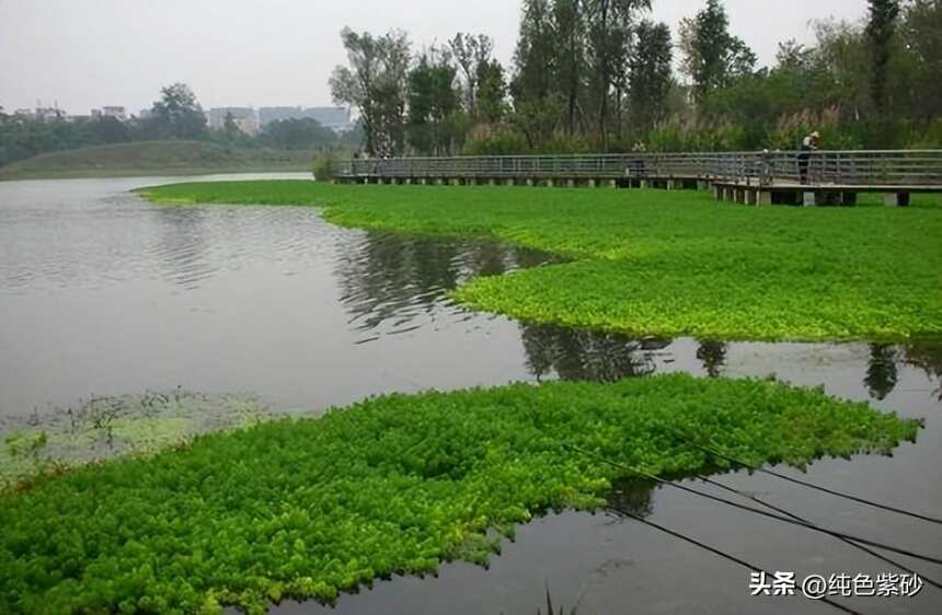 宜兴西氿湿地公园开工图片