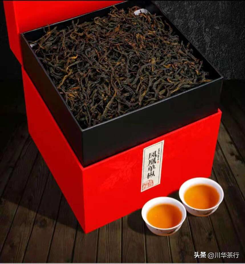 你爱的茶和适合你的茶哪一样是最好的茶？