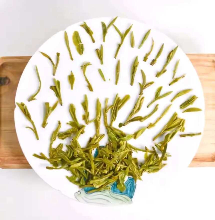 安徽又一款兰花形绿茶来交流，浙江龙井茶与安徽岳西翠兰对冲评测