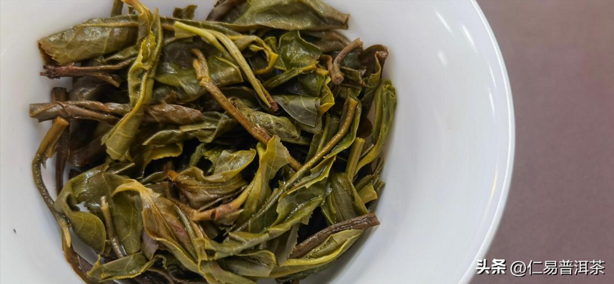 陆羽与普洱茶的关系，茶叶文化知识大普及