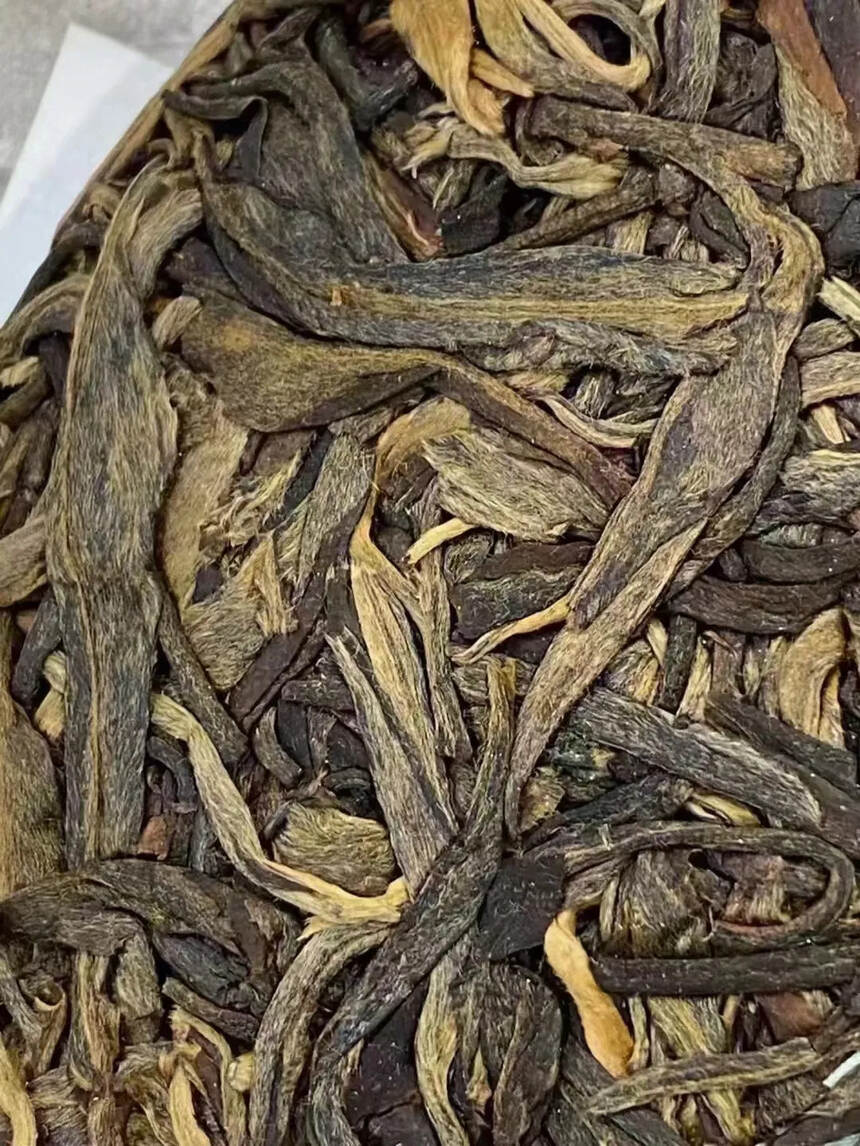 2013曼夕山高山生态有机茶是曼夕山雨林野放茶园，乃