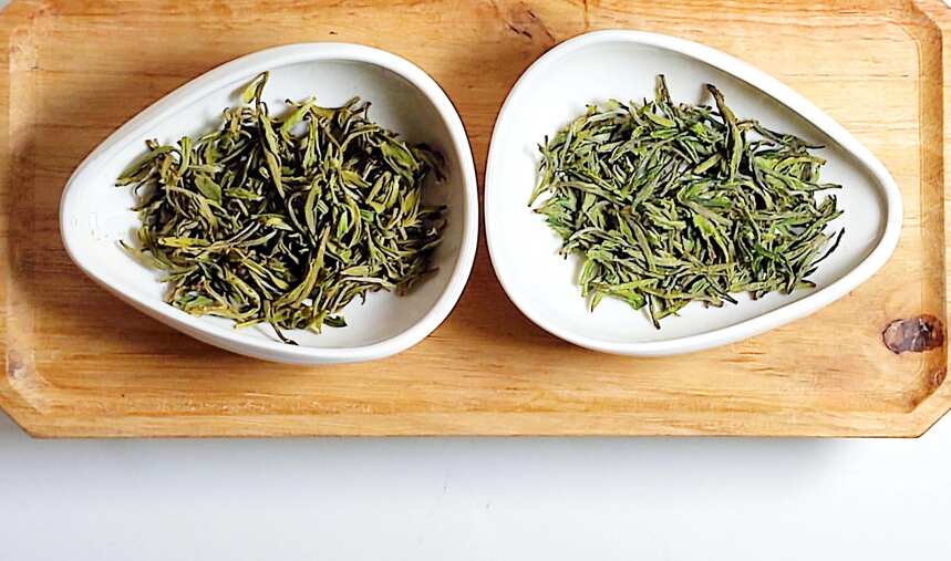 绿茶联赛 ▏浙江两大兰花形历史名茶的对冲，安吉白茶与顾渚紫笋