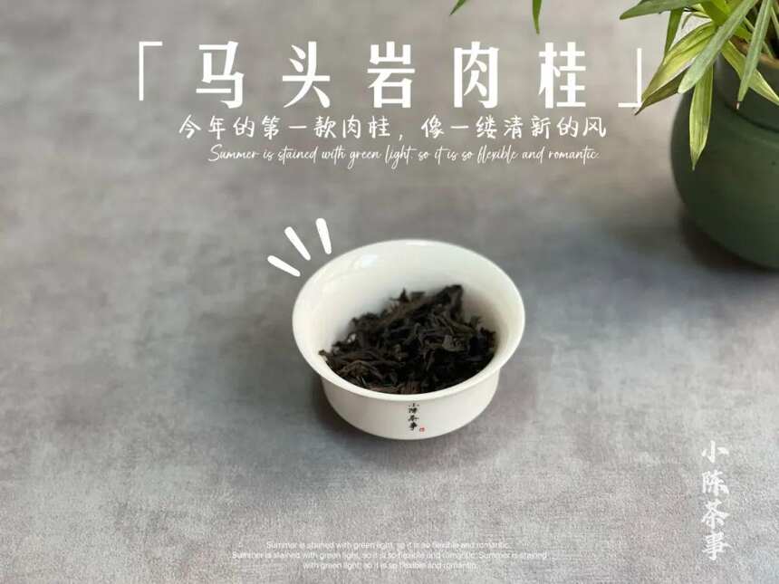 白茶毫香，红茶松烟香，岩茶桂皮香，茶叶的香气究竟是怎么来的？