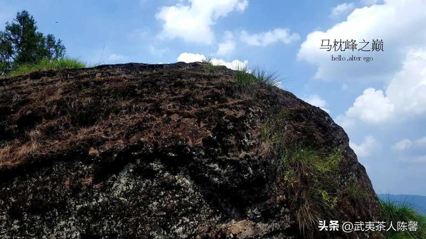 细数武夷山著名的十大山场和品种你知多少？（2）