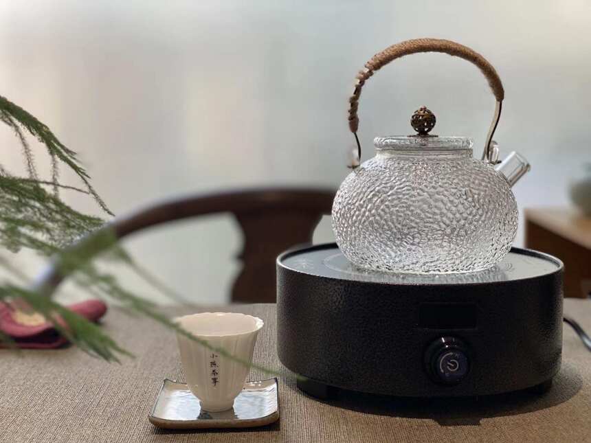 秋冬季，煮壶老白茶暖暖身，铁壶、玻璃壶、养生壶怎么选？