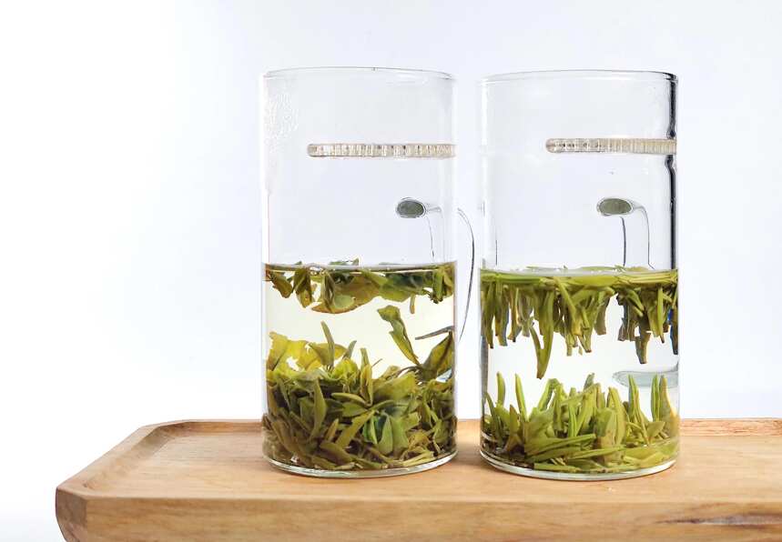 绿茶联赛，北茶与南茶的交手，山东日照绿茶与贵州湄潭翠芽对冲
