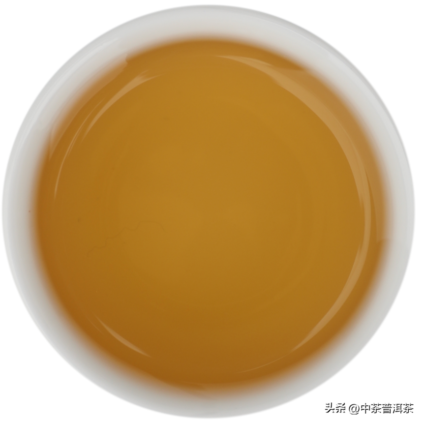 中茶新品 | 中茶九九仙鹤青饼 普洱茶（生茶）紧压茶
