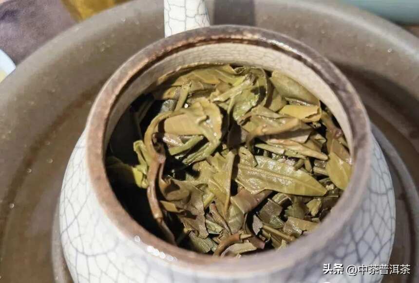 中茶新品 | 中茶九九虎啸青饼 普洱茶（生茶）紧压茶