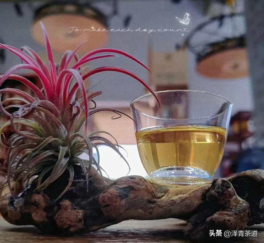 “老班章”号称茶王。始于1476年。位于勐海县布朗山乡老班章村