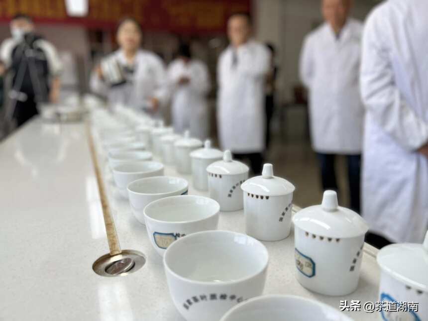 湖南红茶“十大制茶工匠”、“十大产品品牌”专家评审会举行