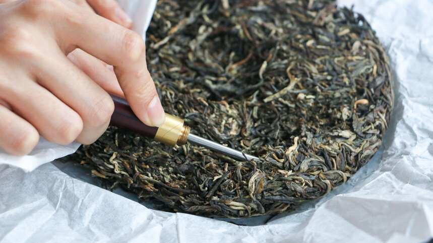 广东茶老板的执念：东莞存出来的茶叶，甩出云南十条街