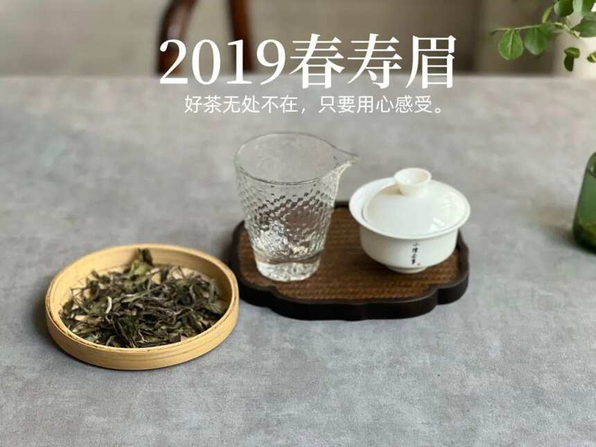 秋天适合喝什么茶？行家：绿茶、白茶、红茶区别很大，弄懂再喝