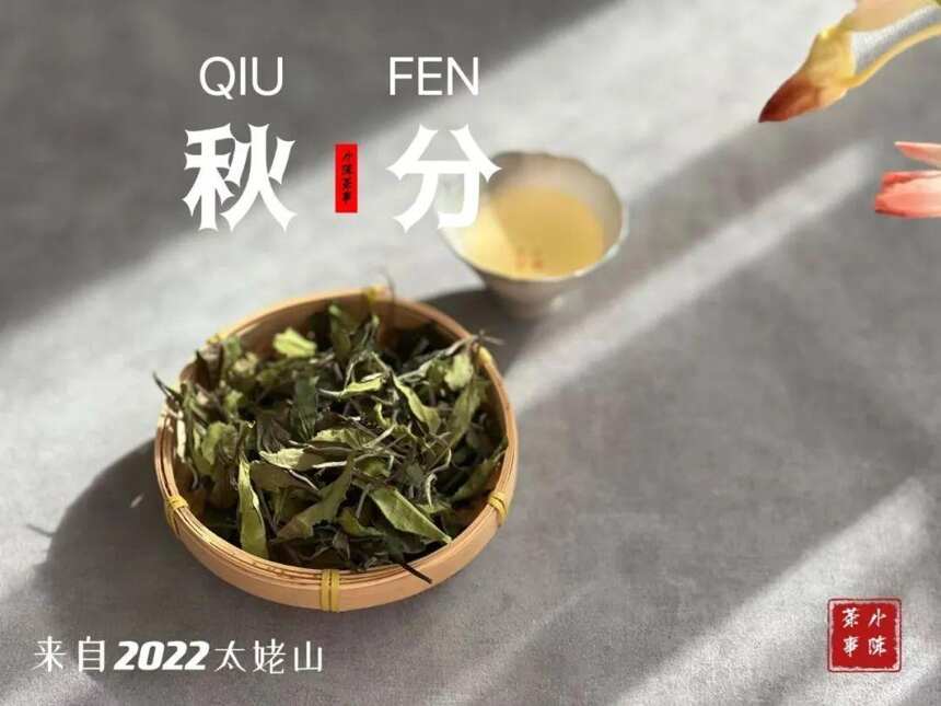 这就叫茶能力，凭一己之力几乎做遍了中国六大茶类，令人瞠目结舌
