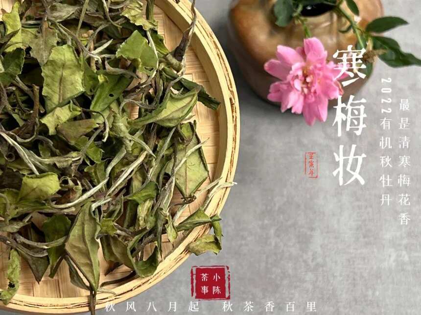 这就叫茶能力，凭一己之力几乎做遍了中国六大茶类，令人瞠目结舌