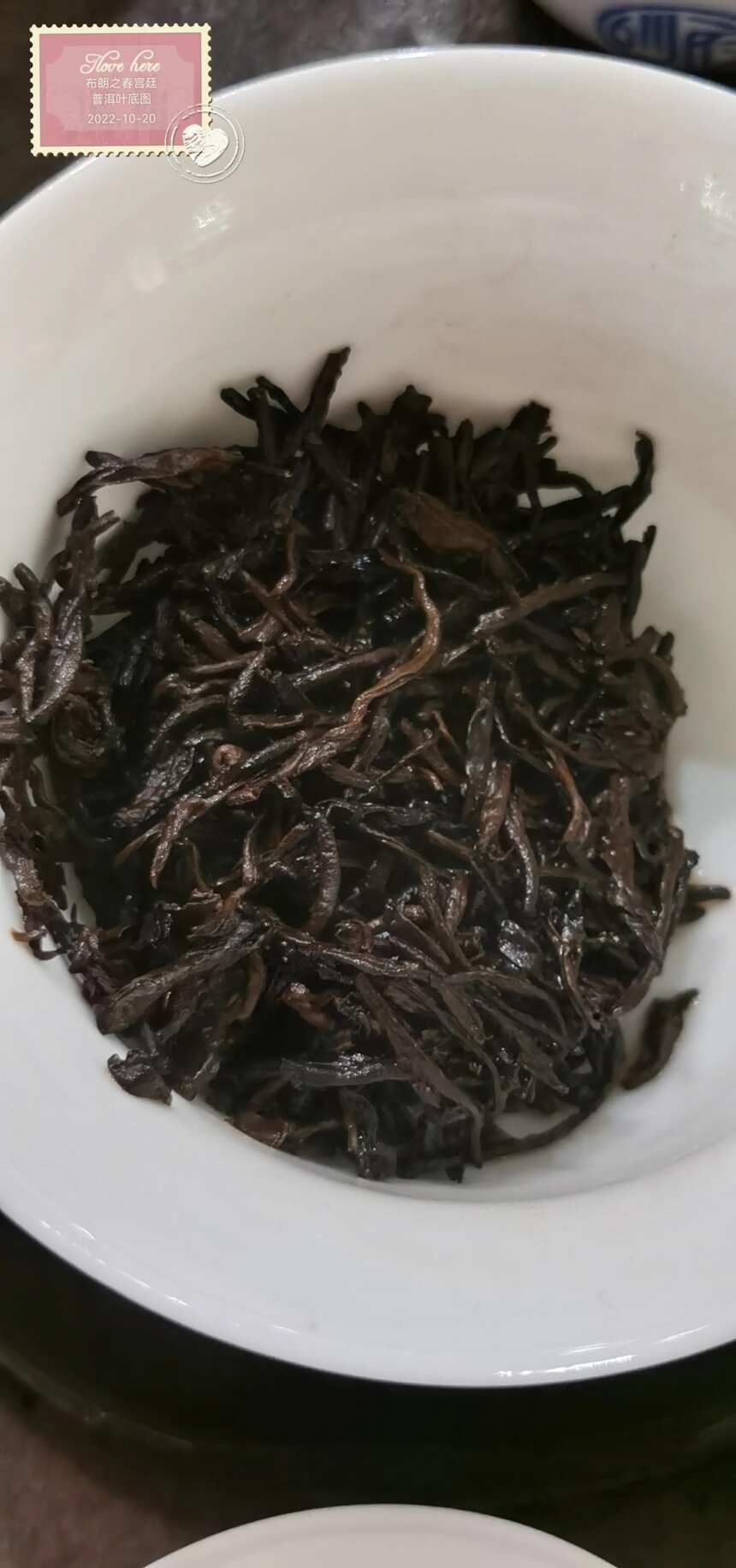 茶品鉴：布朗之春宫廷普洱