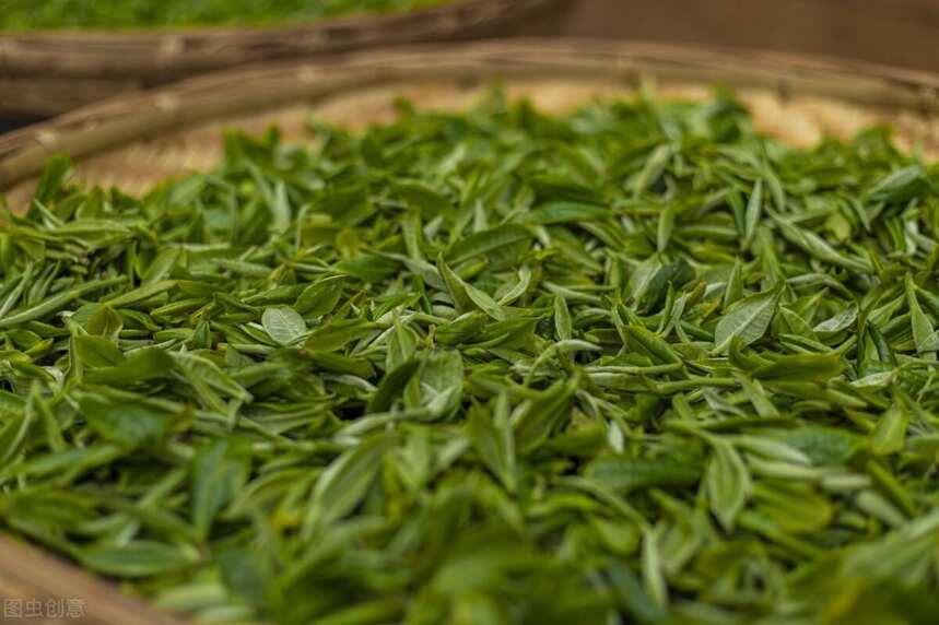 普洱茶的芽头越多越好吗？
