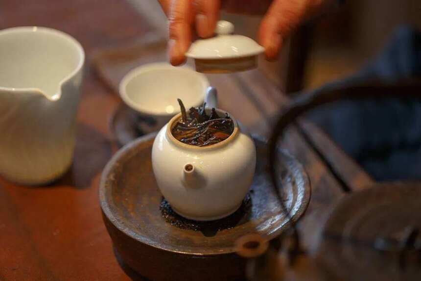 “存新茶，喝老茶”为什么会成为众多茶友的共识？