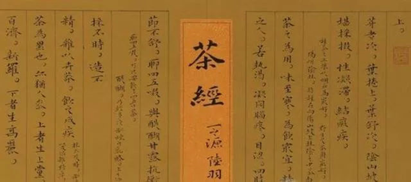 中国茶文化的起源与发展