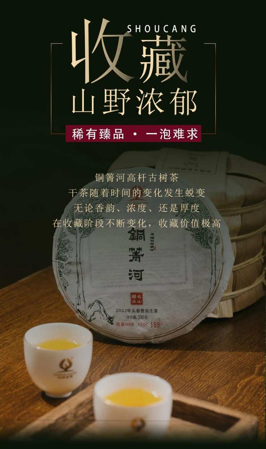 天韵古茶 | 一款好的铜箐河古树茶应具备哪些特征？