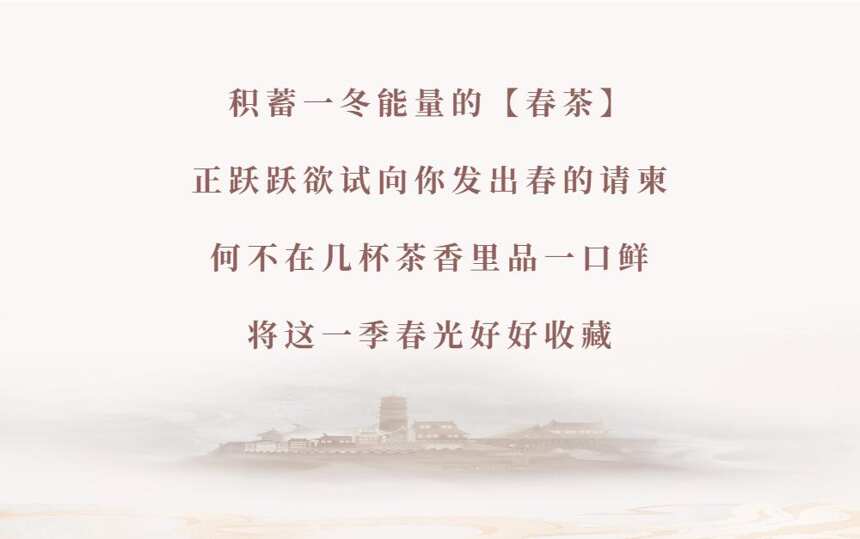 「上新官宣」春茶天团：天心岩、狮子峰、龙井山