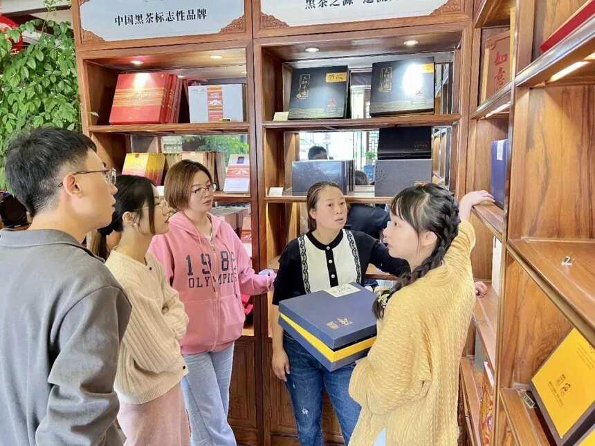 白沙溪上海区域黑茶知识综合培训交流会成功举办