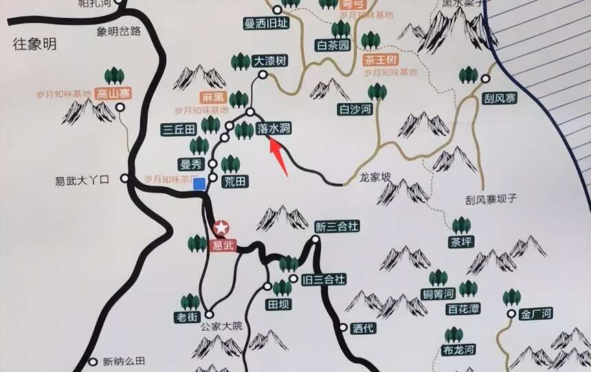 普洱山头茶 | 云南生态古茶第一村——落水洞