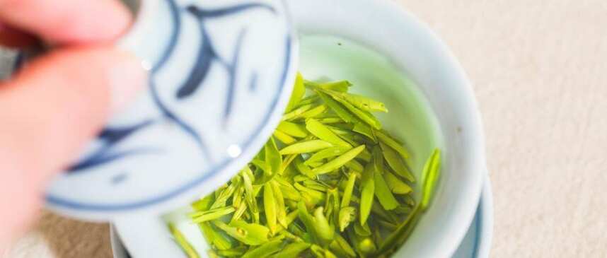 绿茶放久了为什么会变黄，变黄之后还能喝吗？