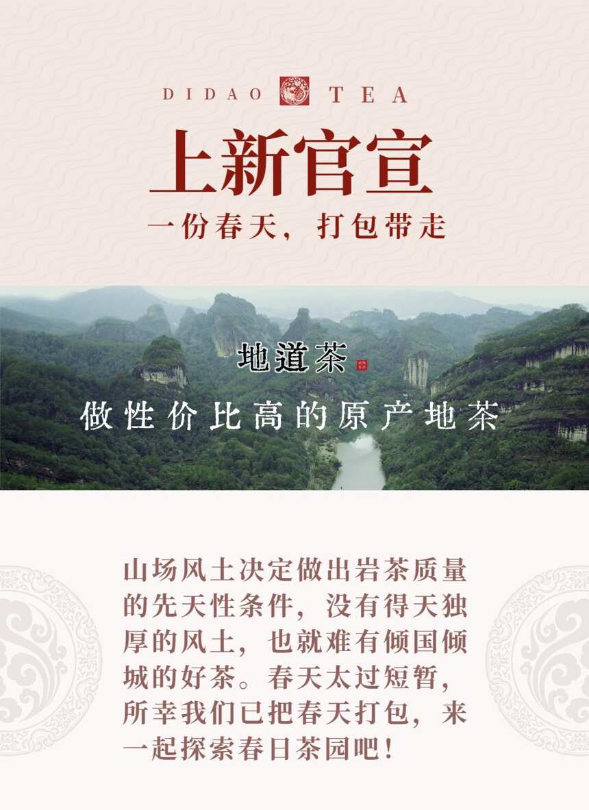 「上新官宣」春茶天团：天心岩、狮子峰、龙井山