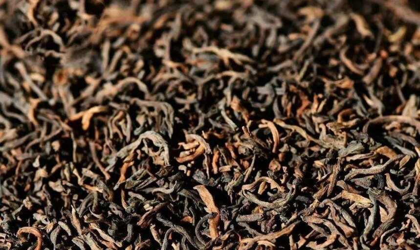 发酵技术解析，普洱茶越陈越香的秘密