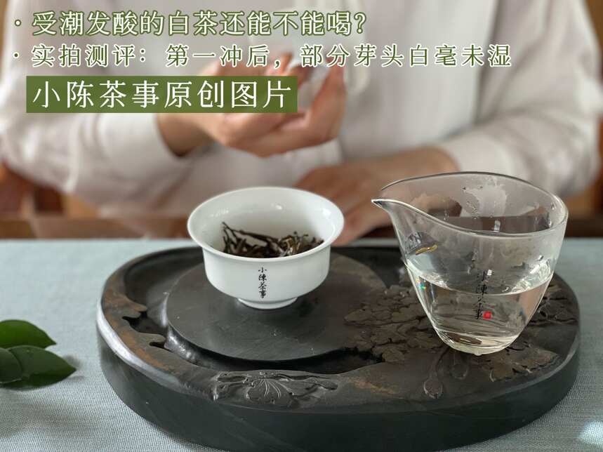 长期储存白茶，很多茶客都会陷入的“大误区”，让你的好茶变烂茶