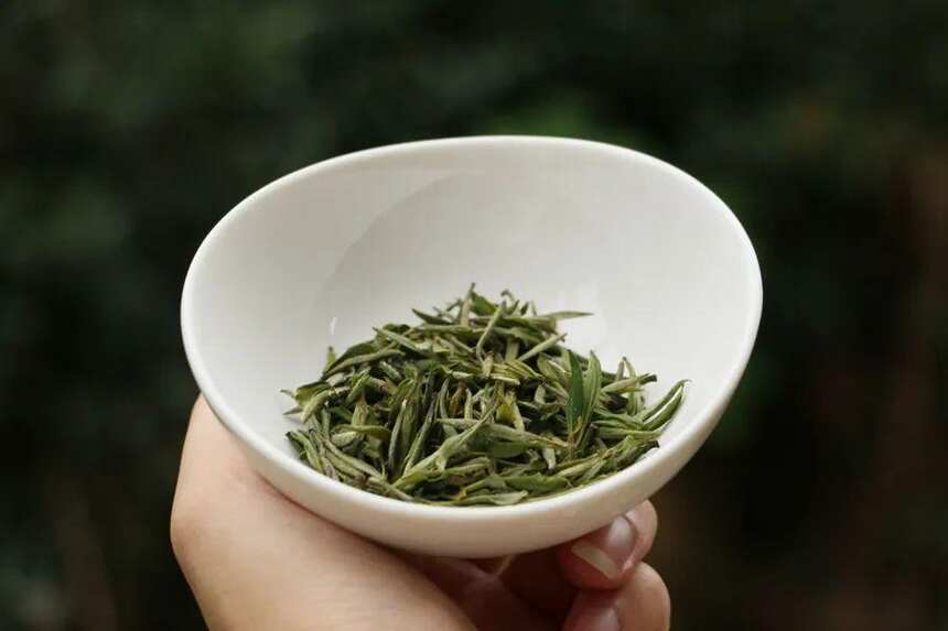 安徽兰花形绿茶同门交手，岳西翠兰与舒城小兰花对冲，谁占先手？