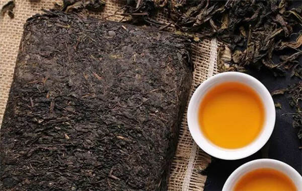 黑茶是养生茶