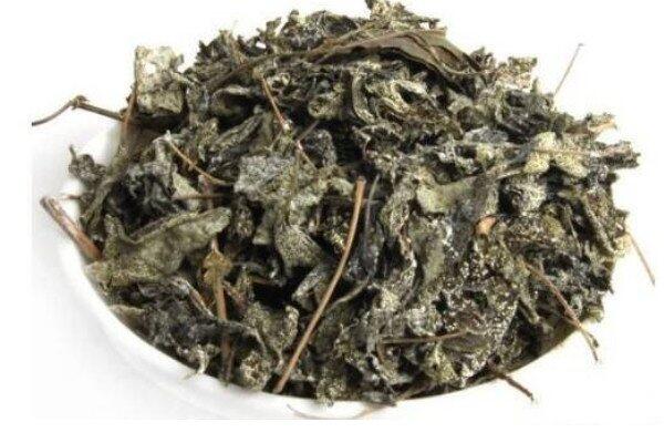 藤茶是什么藤茶属于什么茶系