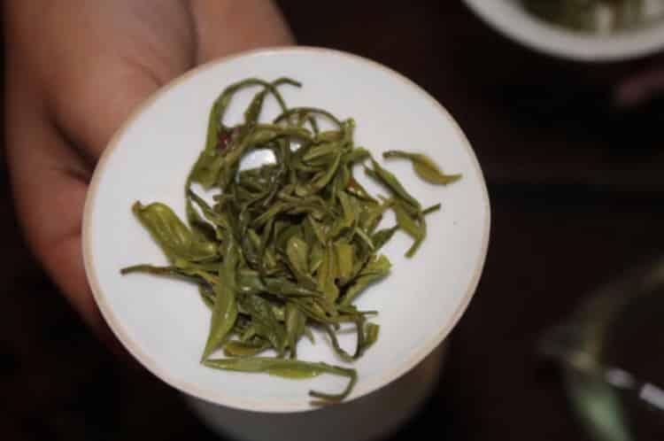 贵州朵贝贡茶价格_多少钱一斤？