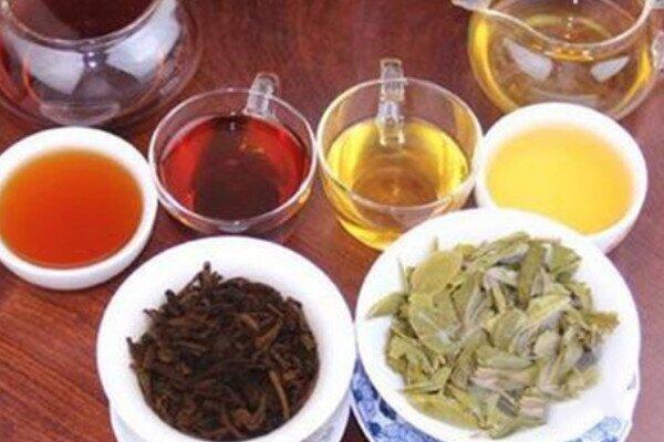 生茶熟茶的区别_熟茶和生茶的主要区别在哪里