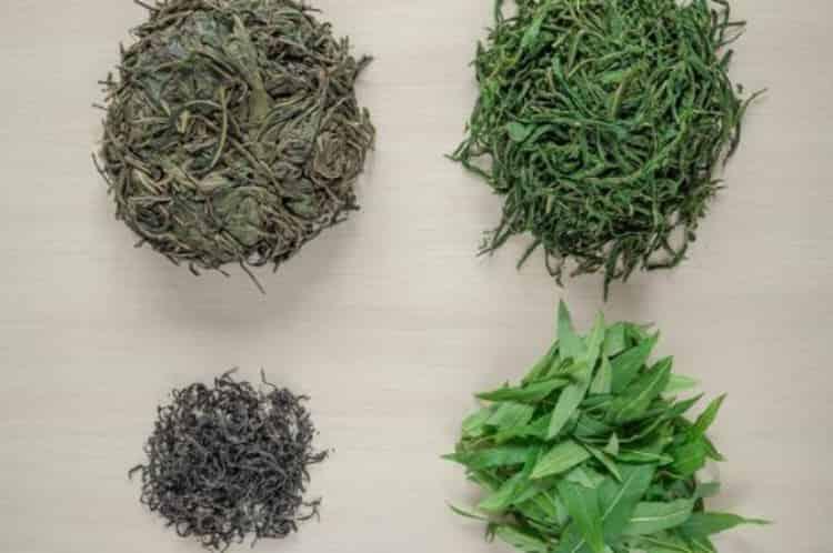 茶叶内含物质详解图_茶叶中的主要成分及含量