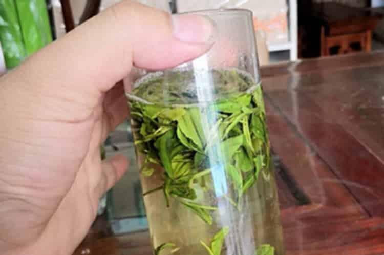 扬州绿杨春茶叶是什么绿杨春属于什么茶？