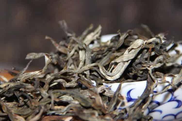 2009老班章普洱茶生茶价格_1000～1300元一斤