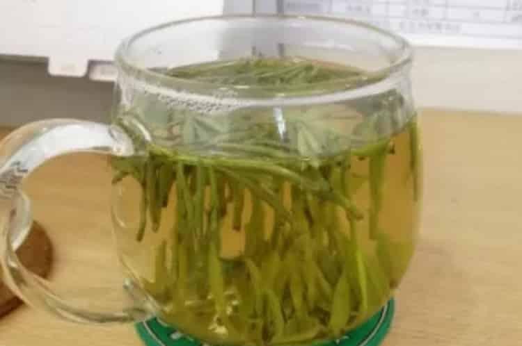 长清寿茶价格_多少钱一斤？