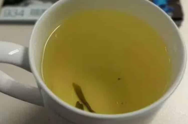 荒山野茶一般什么价格_野生茶叶为什么都很贵？