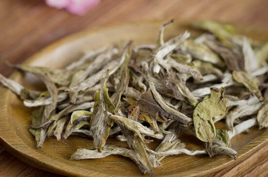 白茶的主要品种